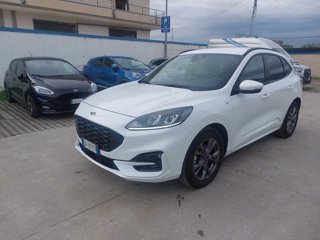 FORD Kuga 2.5 Full Hybrid 190 CV CVT 2WD Titanium Business